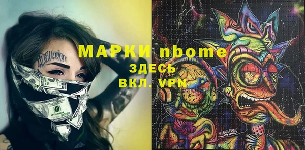 индика Арсеньев