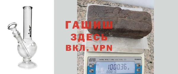 индика Арсеньев