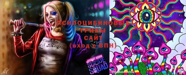 индика Арсеньев