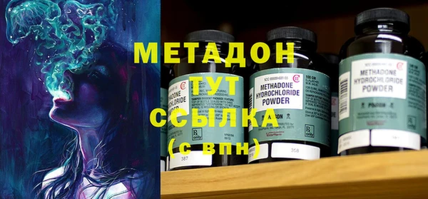 индика Арсеньев