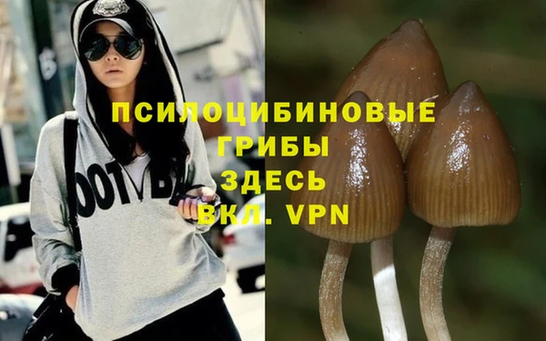 индика Арсеньев