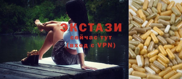 индика Арсеньев