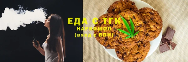 индика Арсеньев