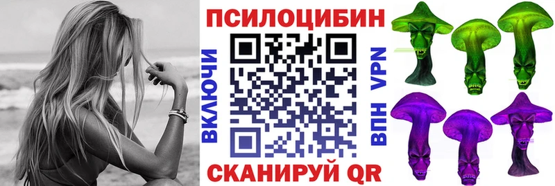 Галлюциногенные грибы MAGIC MUSHROOMS  Купить где  Судогда 